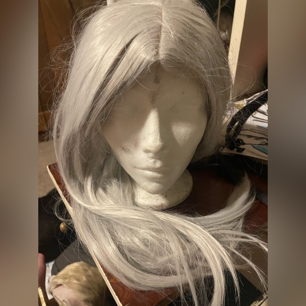 Elegant Silver Women's Hair Wig